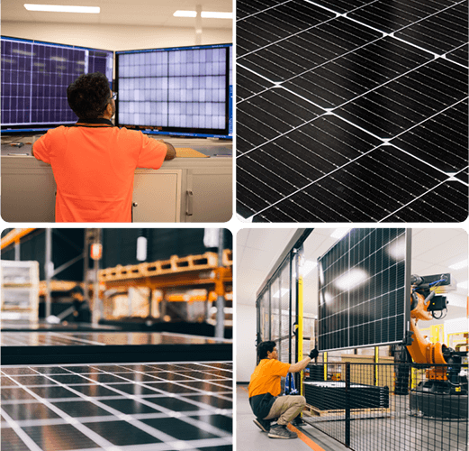 Technician testing solar panels supplied by a solar wholesaler to ensure quality and efficiency